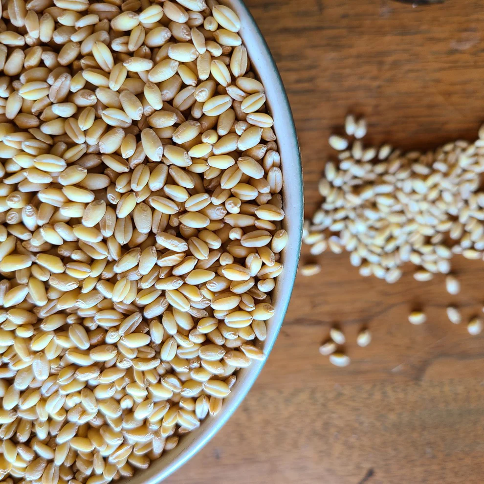 Organic Milling Wheat Export Brazil