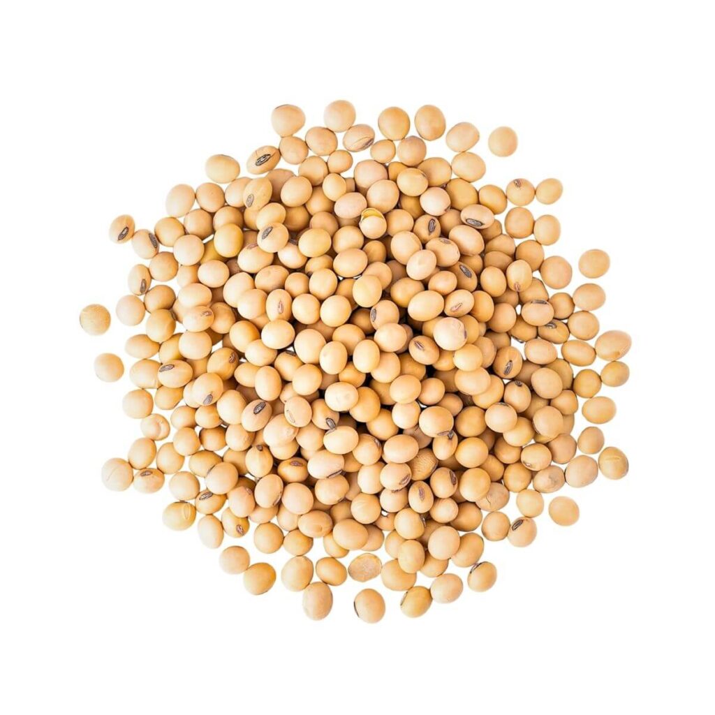 Pile of yellow soybeans on white. Food-Grade Non-GMO Soybeans for Human Consumption