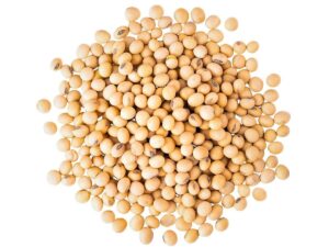 Pile of yellow soybeans on white. Food-Grade Non-GMO Soybeans for Human Consumption