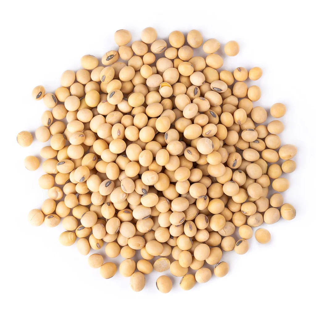 Soybeans for Human Consumption Export Brazil