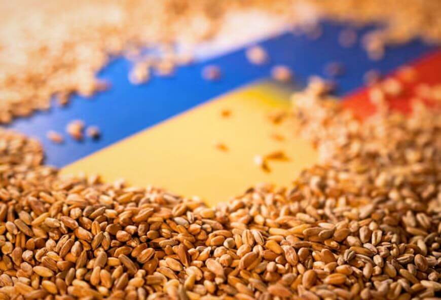 Wheat seed grains displayed with Brazilian flag for export