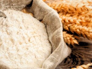 Wheat starch powder with wheat grains for industrial and food processing