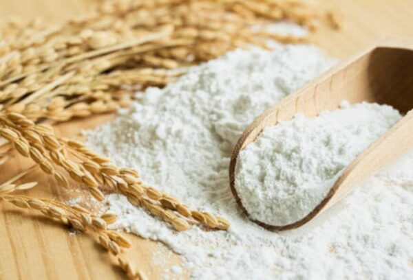 White wheat starch powder displayed with wheat grains