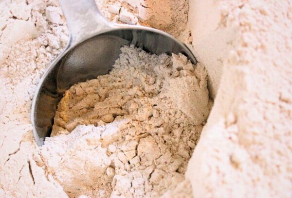Brazilian whole wheat flour in bulk for wholesale bakery and food manufacturing applications
