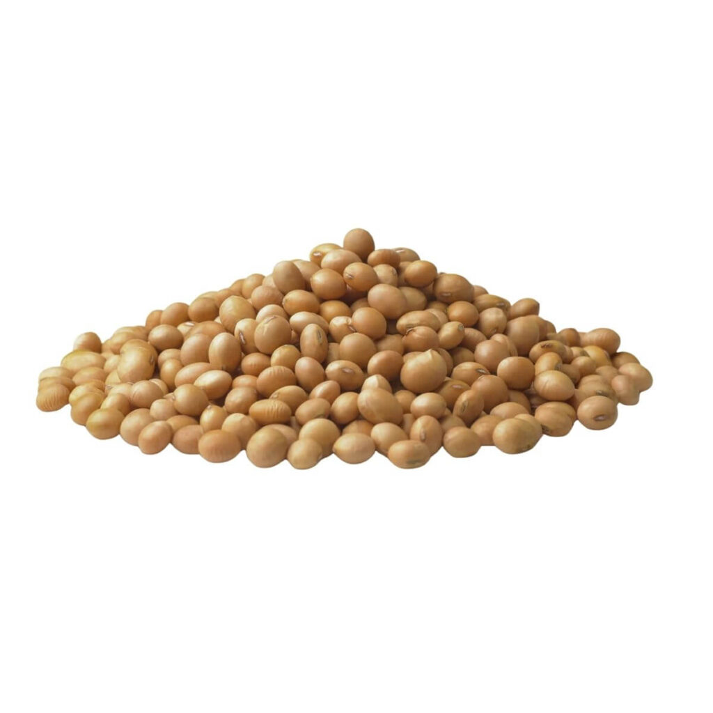 Organic non-GMO soybeans from Brazil for food processing