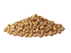 Organic non-GMO soybeans from Brazil for food processing