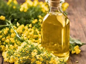 Canola Oil brazil