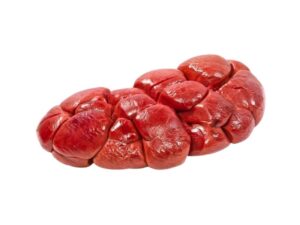 Kidney Bovine - export Brazil