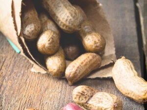 Peanuts Export Brazil