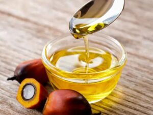 Palm Kernel Oil Export Brazil