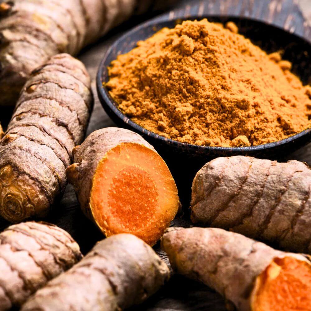 Curcumin-rich Brazilian turmeric powder in a white bowl with fresh turmeric root