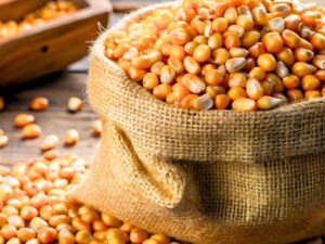 Sweet Corn Export Brazil