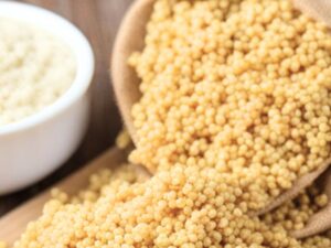 Millet Export Brazil