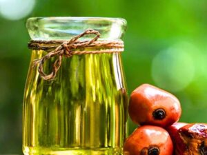 Premium palm kernel oil in a glass bottle with palm fruits, sourced from Brazil