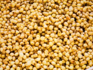 Sorghum Export Brazil