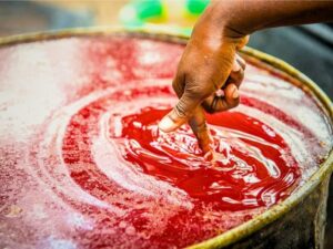 Crude Palm Oil Brazil (CPO)