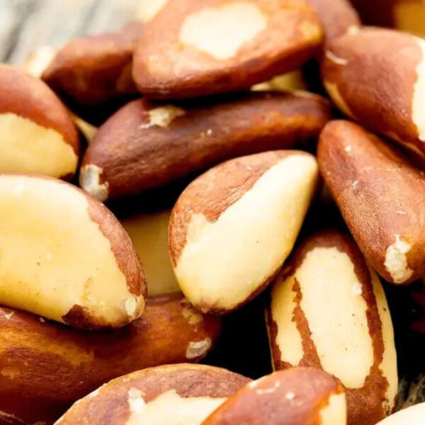 Close-up of shelled Brazilian almond kernels showing natural brown skins and cream-colored interiors
