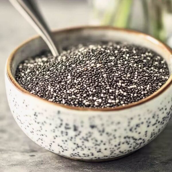 Premium Brazilian chia seeds for bulk export to food and supplement manufacturers
