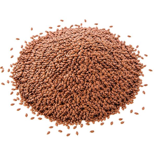 Brazilian flax seeds for wholesale supply to food, health food, and feed producers