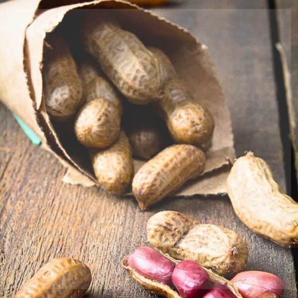 Close-up of Brazilian peanuts in shell with kernels shown on a wooden surface