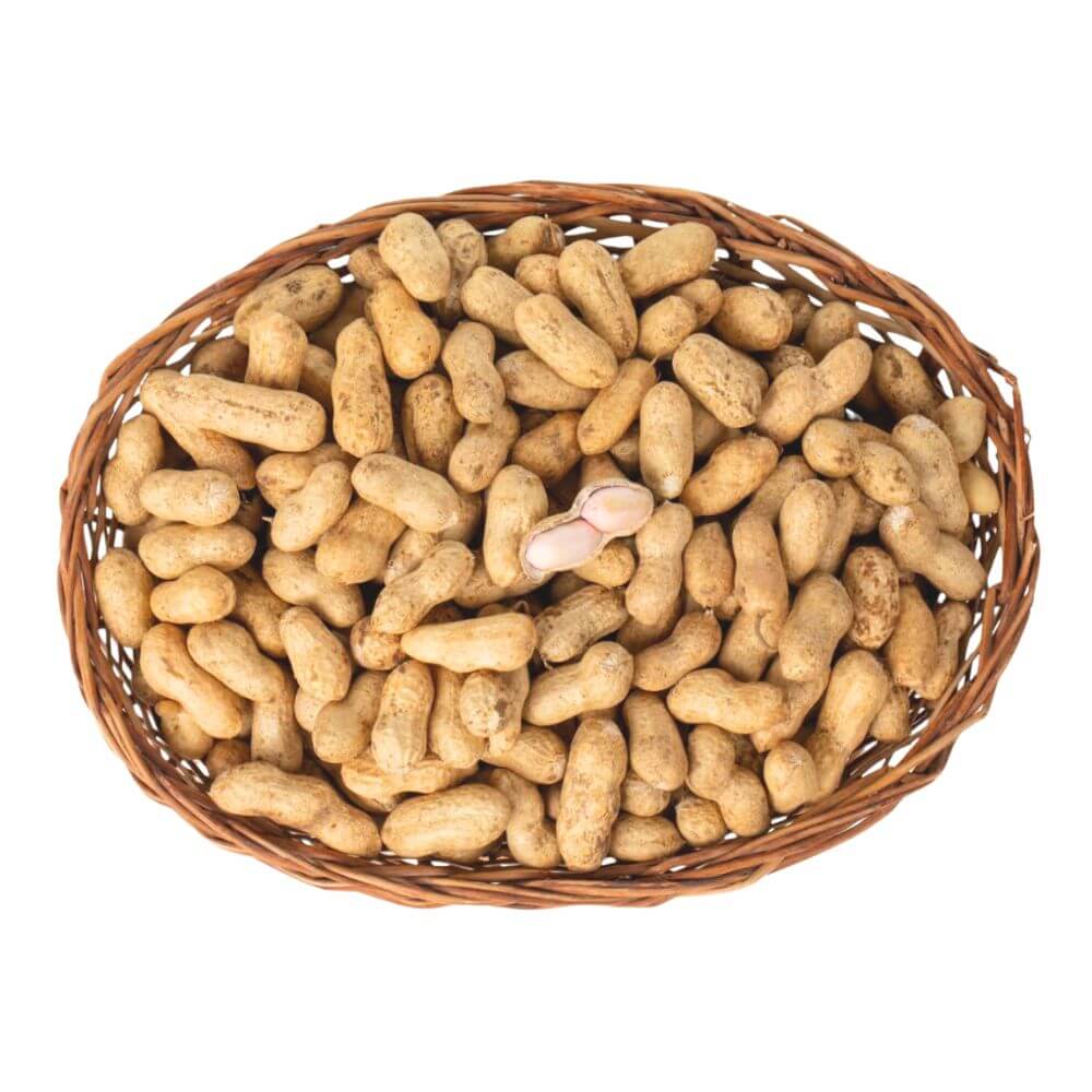 Bulk Brazilian peanuts in shell displayed in a woven basket for food manufacturers and exporters