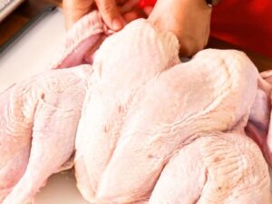 Turkey Meat Export Brazil