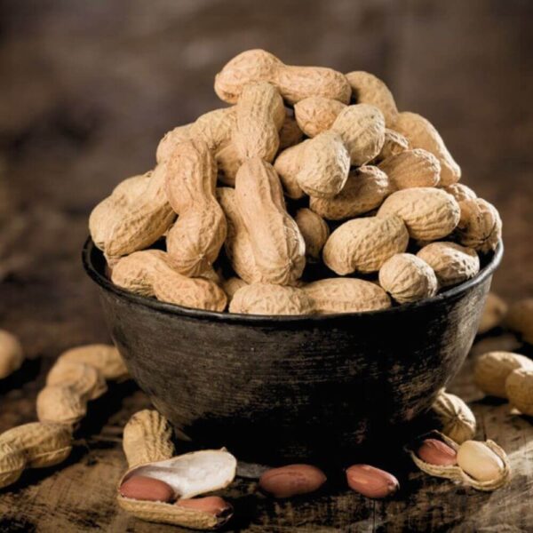 Premium Brazilian peanuts in shell in a bowl with shelled peanut kernels, suitable for export and food processing