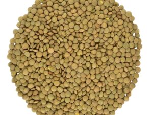Brazilian Green Lentils – Premium Pulses for Export