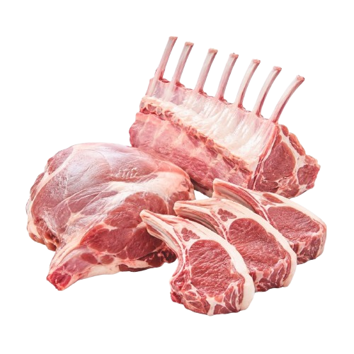 Lamb