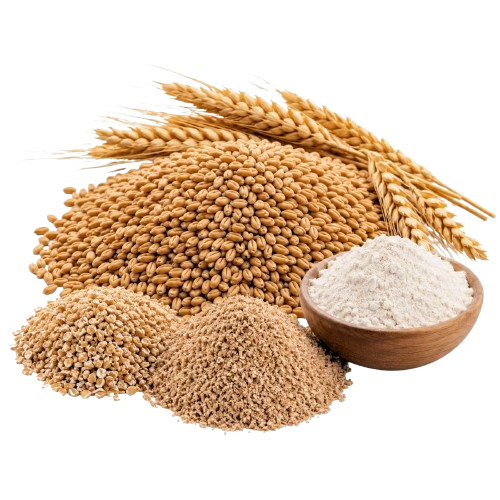Wheat